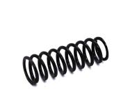 PT710-P16 Пружина фиксатора (700003)